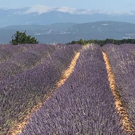 Provence Luberon Bonnieux location gite chez Marcelle Esterno foto