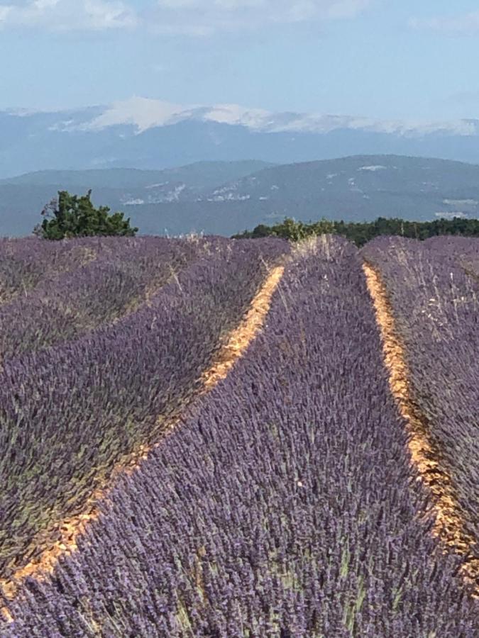 Provence Luberon Bonnieux location gite chez Marcelle Esterno foto